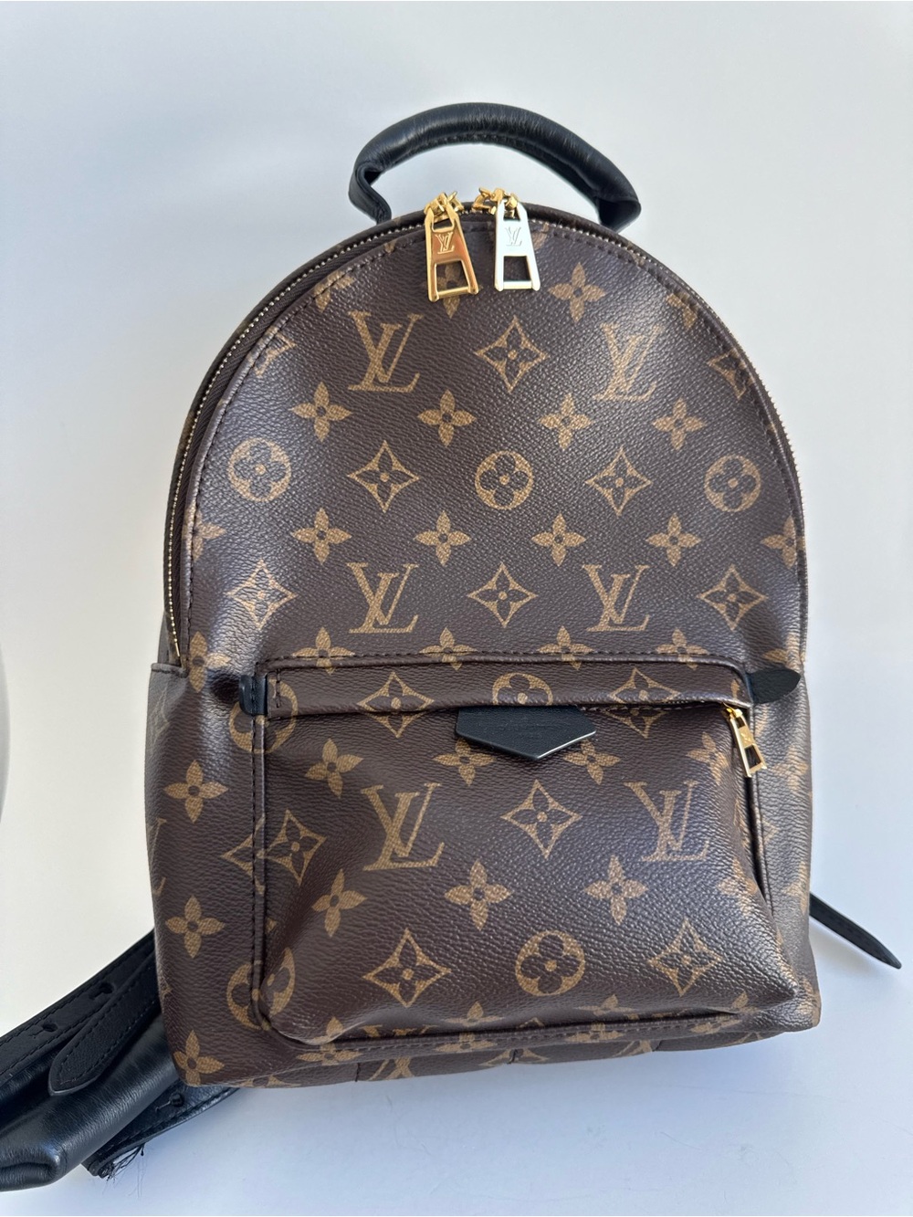 Louis Vuitton Palm Springs PM Backpack Monogram Canvas Gold Hardware